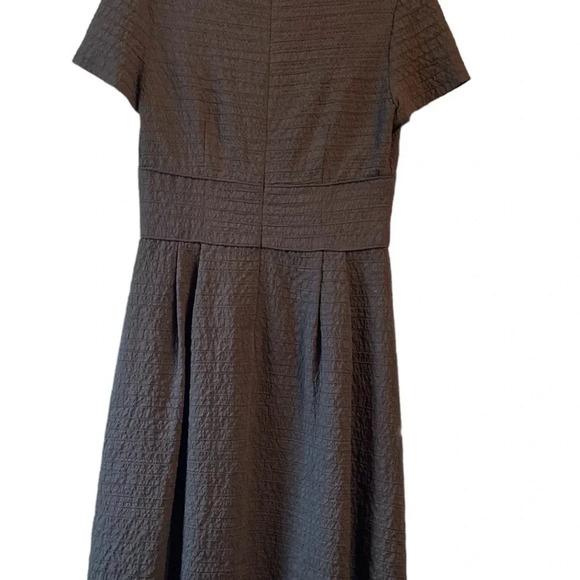 Brown Talbots dress. Thick waistband, zippered back, short sleeves. - Picture 6 of 7